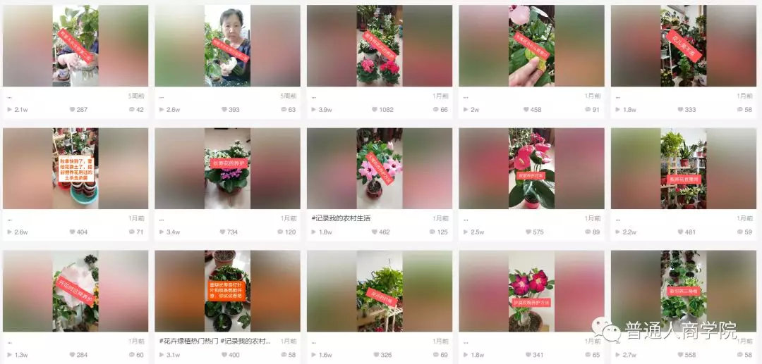 快手养花怎么赚钱啊,快手怎么养花赚钱