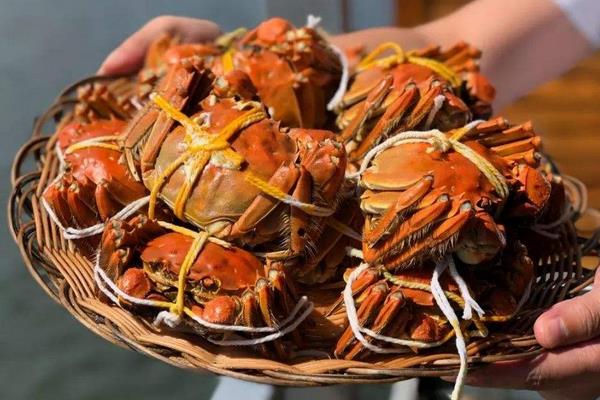 大闸蟹放在急冻室里会被冻死吗,大闸蟹冻死了还能吃吗