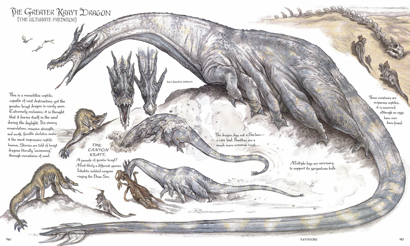 曼达洛人第二季全集详细解说,曼达洛人第二季警长女扮演者