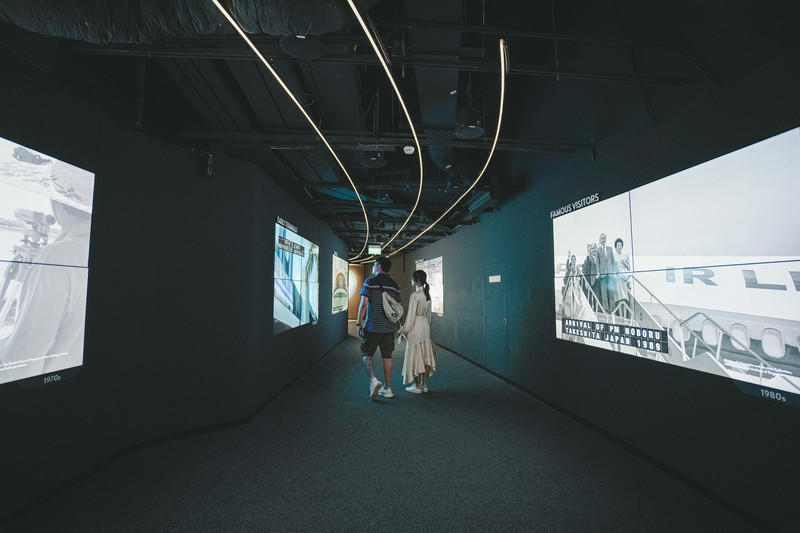 一人一猫环游,一人一猫旅行