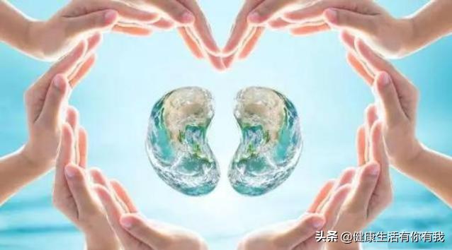 肾功能异常肌酐异常偏高怎么办,肾功能异常肌酐高尿酸高吃什么药