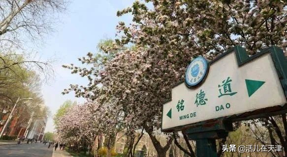 大“疫”灭清，天津2020赏花地图上线！