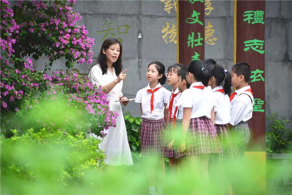 三尺讲台上的梦想,三尺讲台是我的梦想