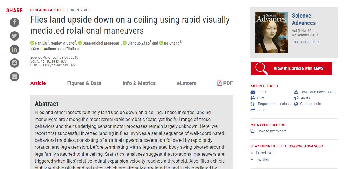 从苍蝇的贡献中得到的启示,苍蝇有哪些科学贡献