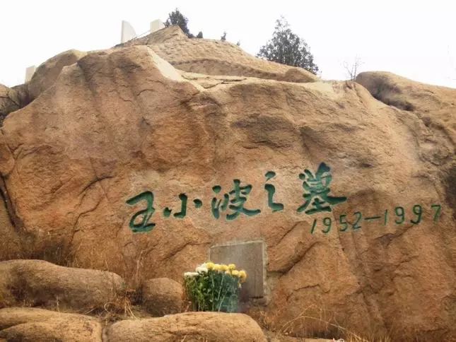 极客思维王小波,王小波炫舞视频全集