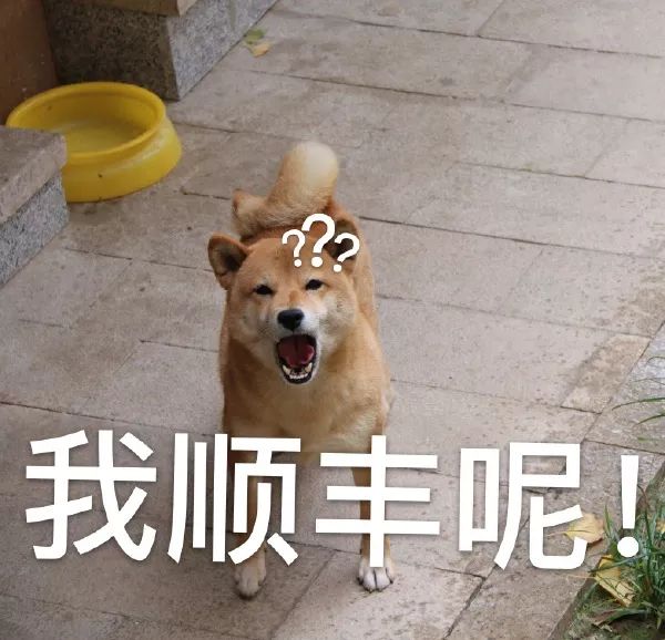 两个月前的边线球未解，现在又来个乌龙球！中国队，求你别急了