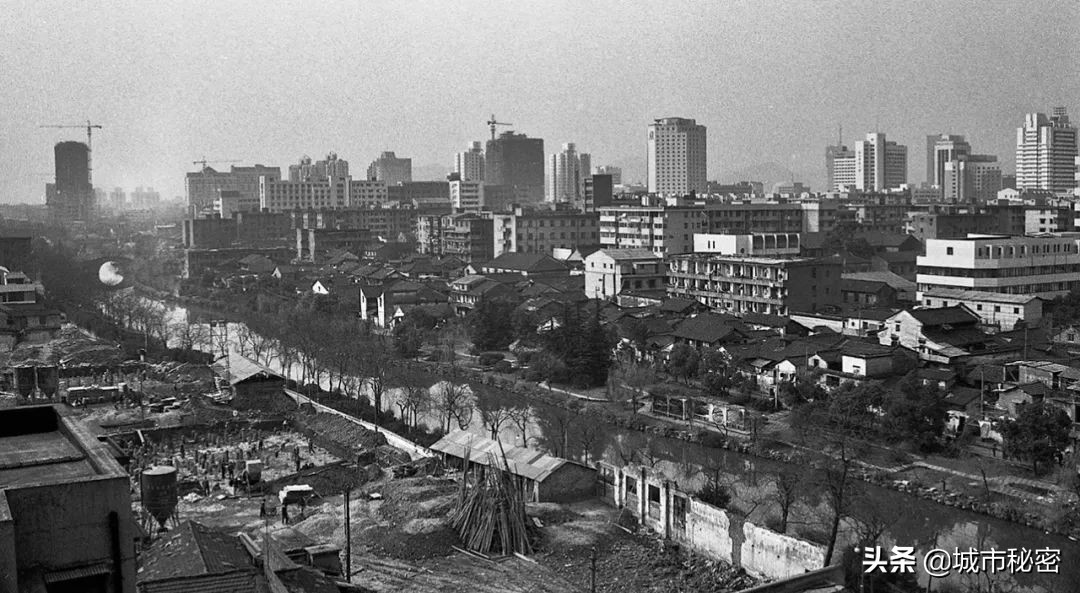 鏉窞瑗挎箹鍥涘ぇ瀹舵棌,鏉窞鍥涘ぇ鏈涙棌