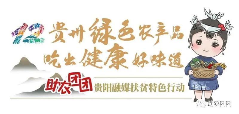 刺梨功能营养饮料,助农团团营养餐