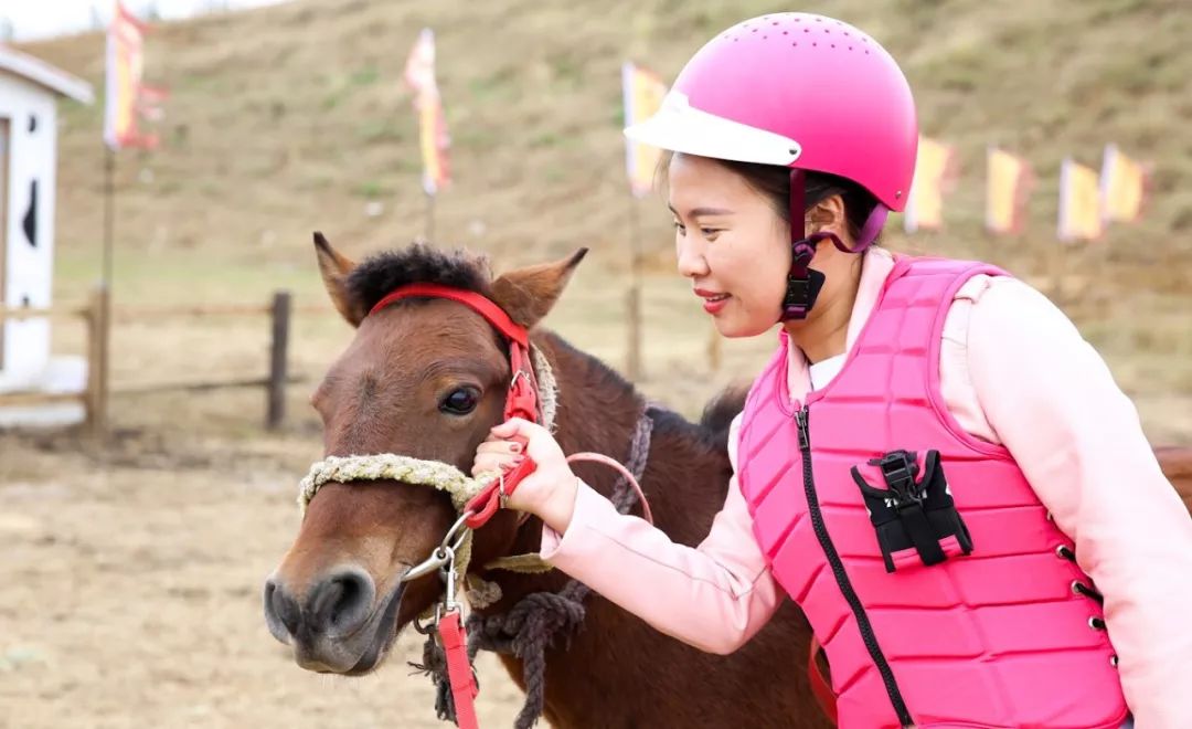 祥和庄园一日游,享受美食和田园风光的完美之旅