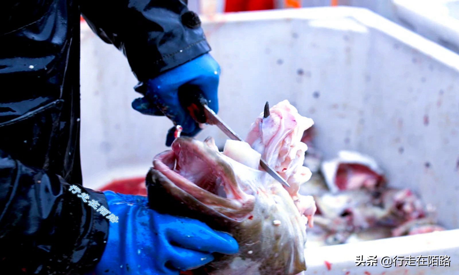 砸锅卖铁供你读书这句话对吗,砸锅卖铁也要供你上学的励志语录