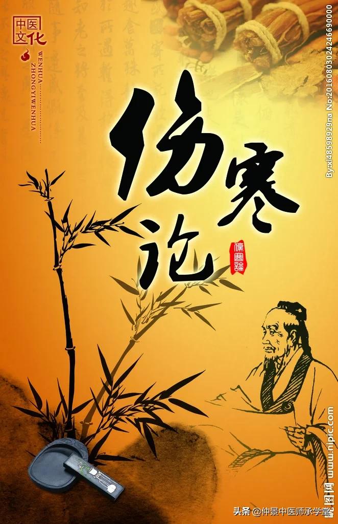 中医讲伤寒论原文及译文,中医经典伤寒论少阳