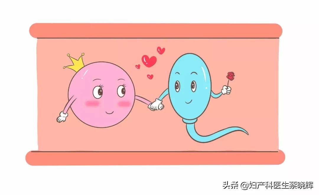 受精卵迷路之后，到底发生了什么？