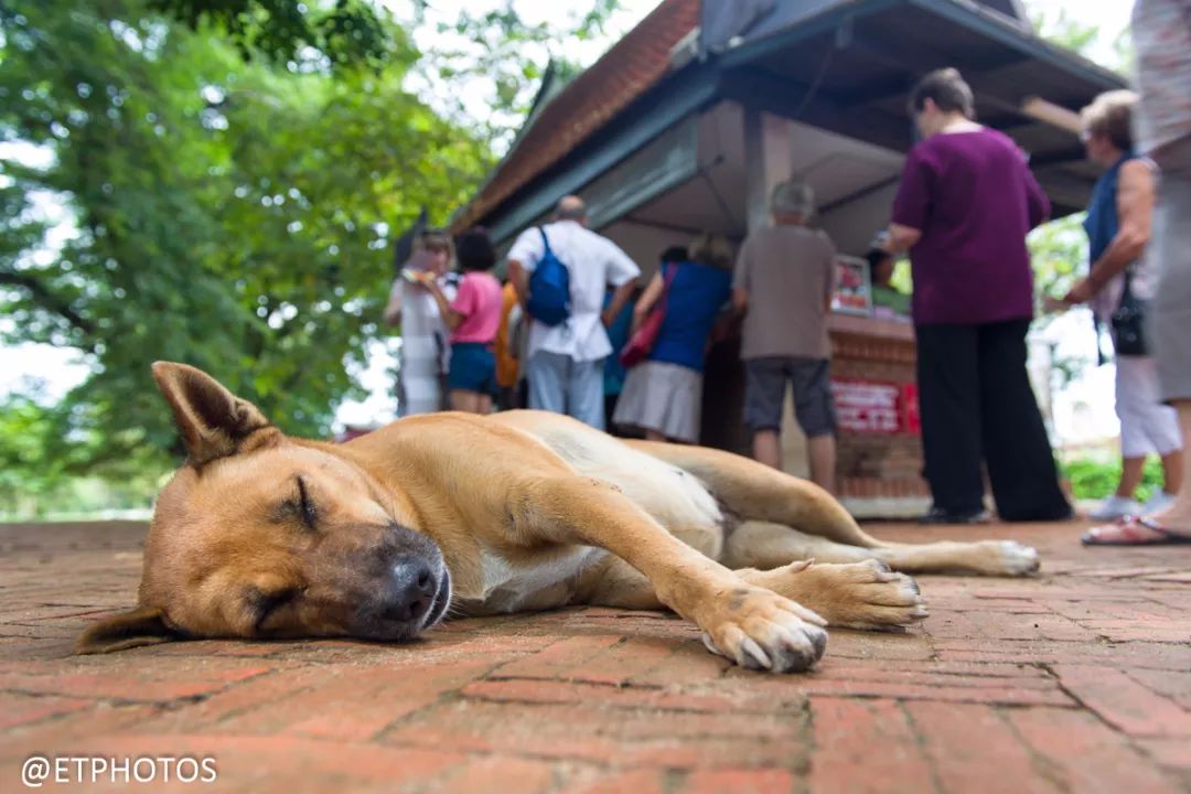 最后一代全画幅单反,目前最值得入手的全画幅单反