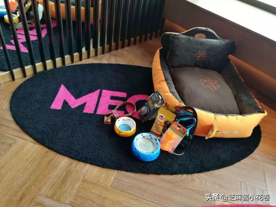 凡尔赛文学其实无处不在,凡尔赛文化盛行