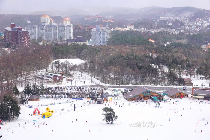 东京冬天附近游玩攻略,1月份的东京好去处