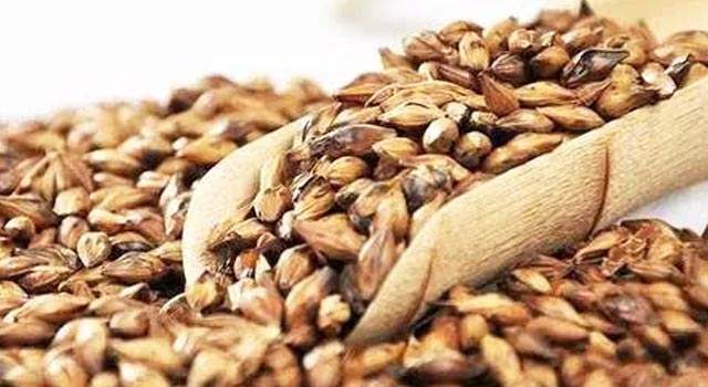 坐月子吃什么食物下奶最快,坐月子吃什么下奶最快最好