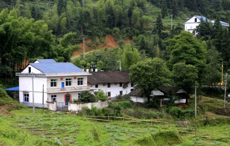 鐣呮父榛勬睙,榛勬睙鐣呮父涓浗