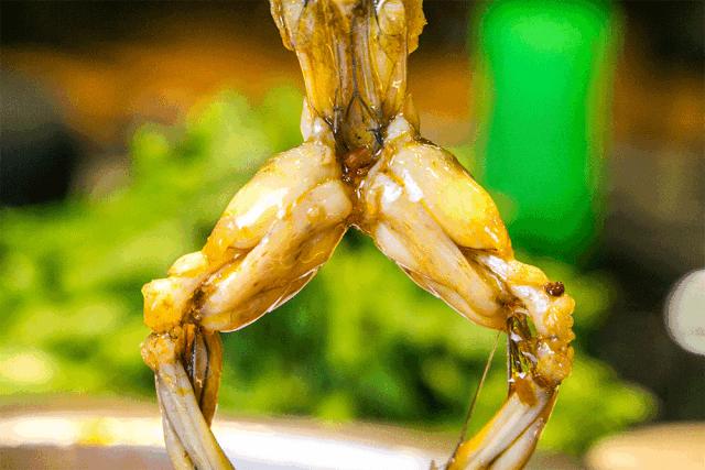 桃园宾馆开业,桃园宾馆桃园路店