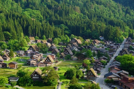 名古屋岐阜,名古屋岐阜樱花