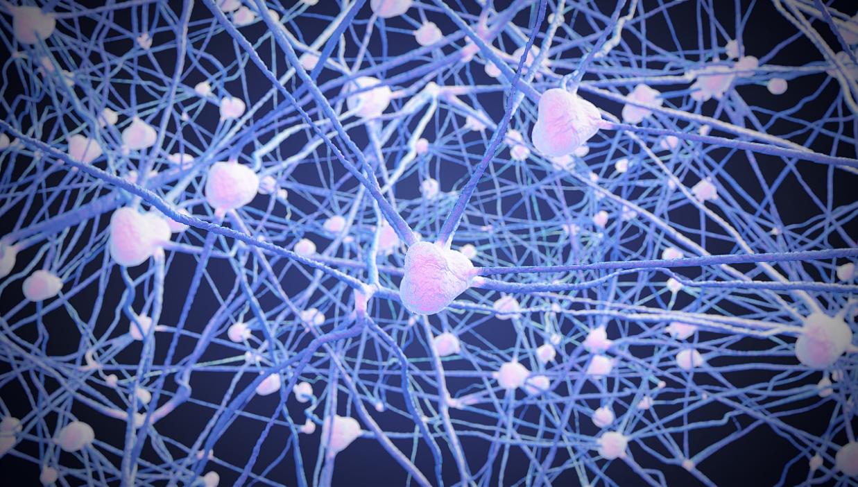 元宇宙和全息,元宇宙跟半导体的关系