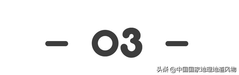 哪里吃蛙最出名,牛人花式吃蛙