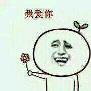 向女生表白表情包图片,向女神表白的表情包