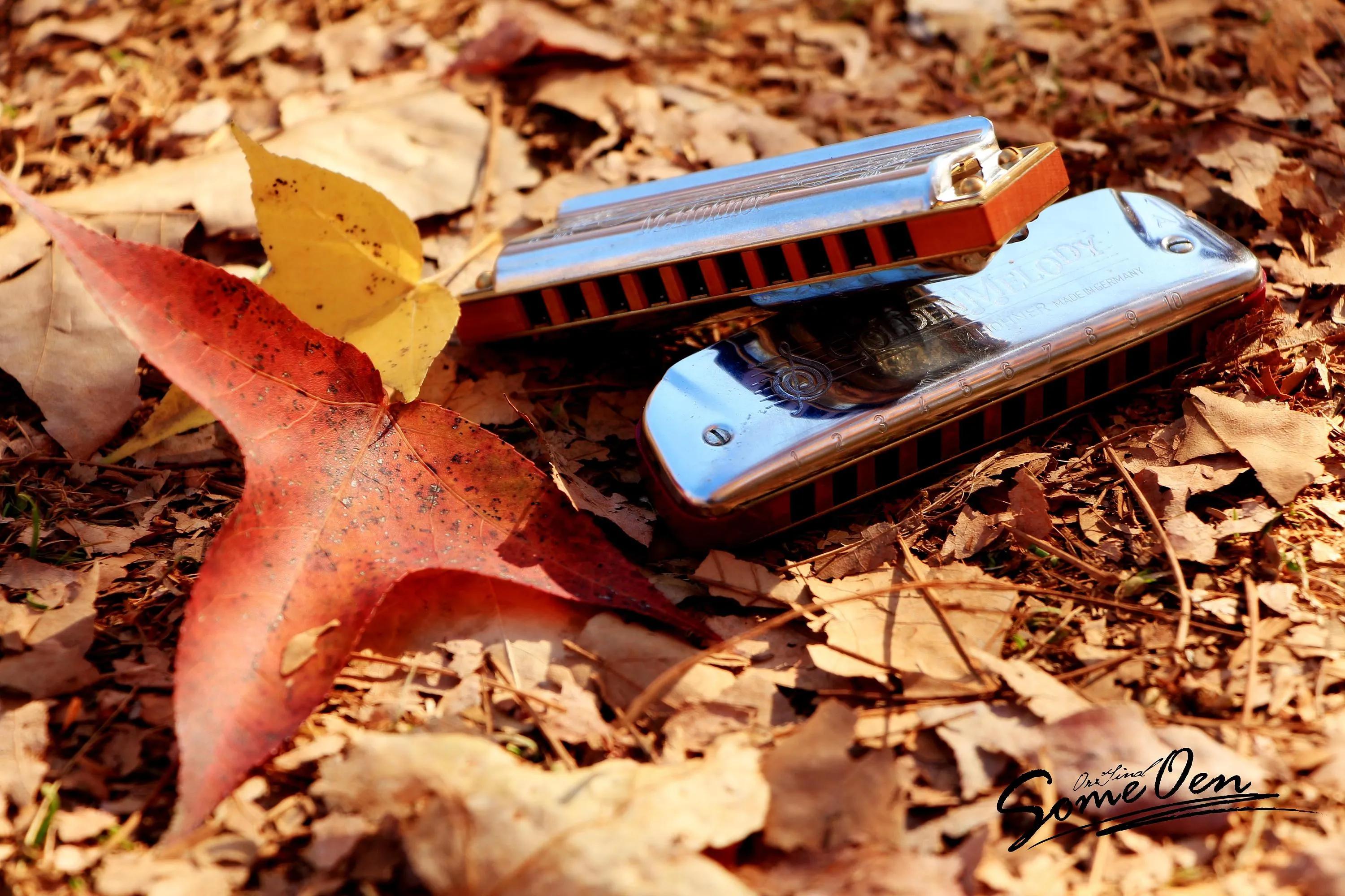 在家带娃的同时吹吹葫芦丝的文案,吹吹口琴