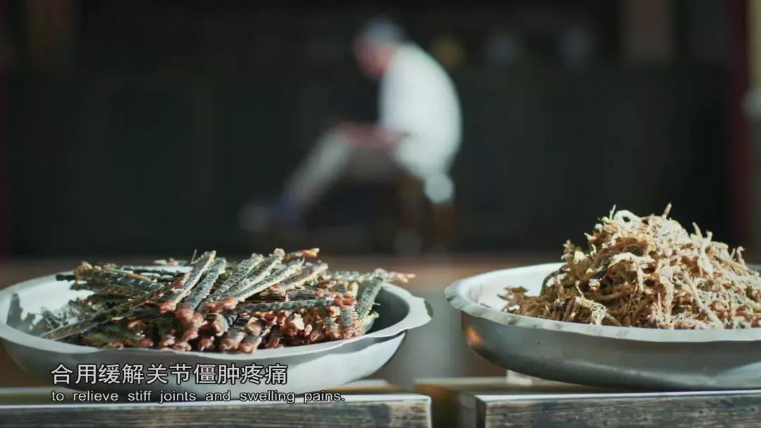 哪种蟑螂有药用价值,蟑螂药用价值是什么