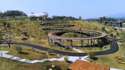 深圳中心公园足球场,深圳中心公园大草坪