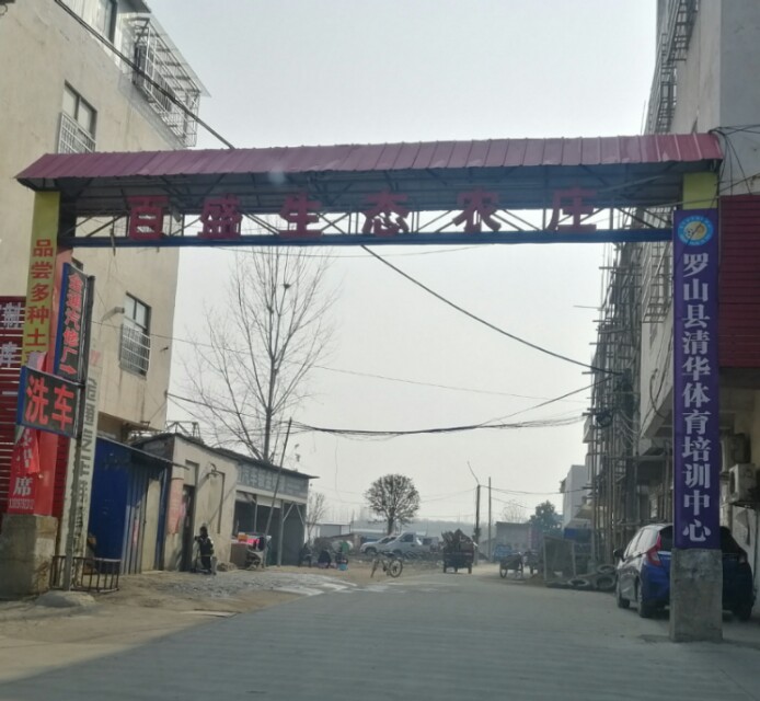 河南电视台少儿春晚主持人选拔,河南电视台春晚海选