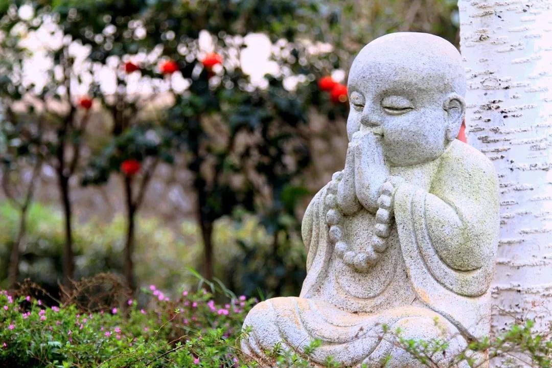 佛教为什么不允许吃香菜 (佛教徒究竟能不能吃香菜)