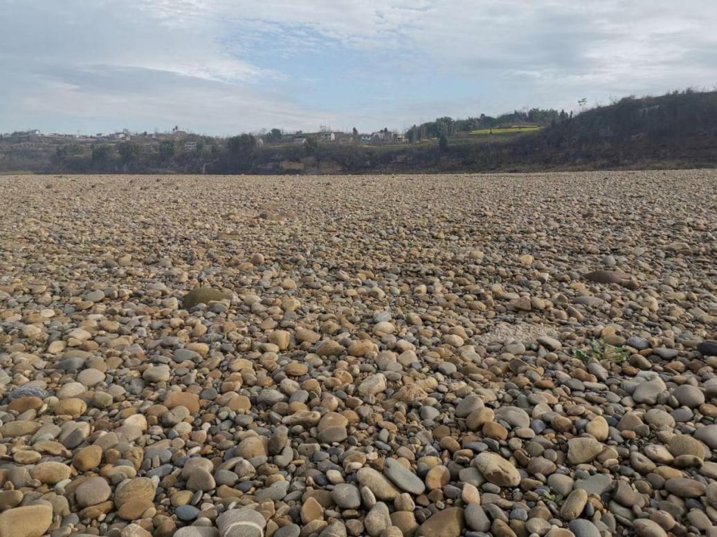 萧习华的散文《飞扬的红盖头》