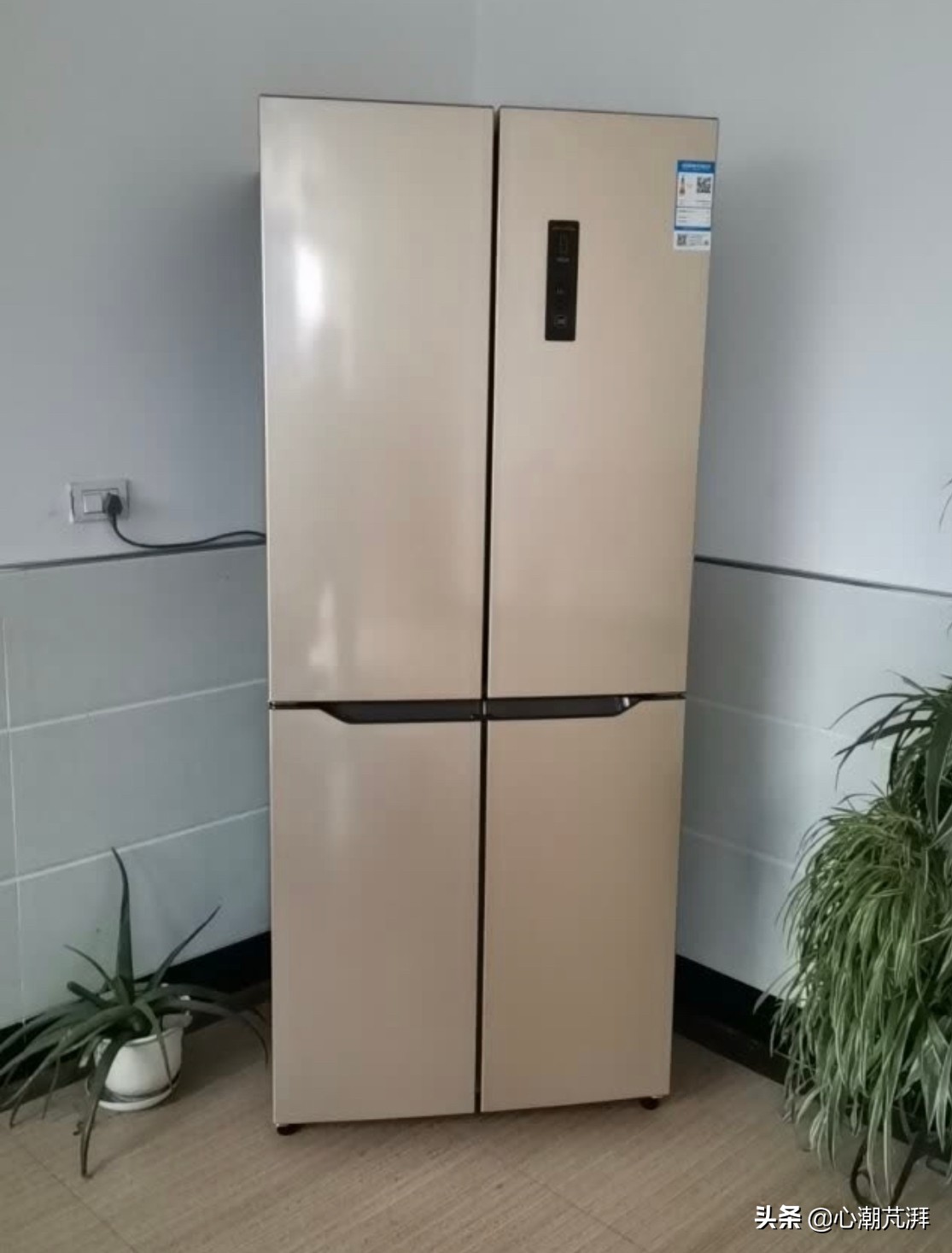 冰箱的选购技巧和购买渠道,冰箱值得买的品牌及型号