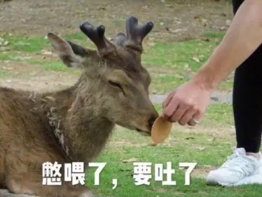 因疫情影响旅游,受疫情影响的日本旅游业