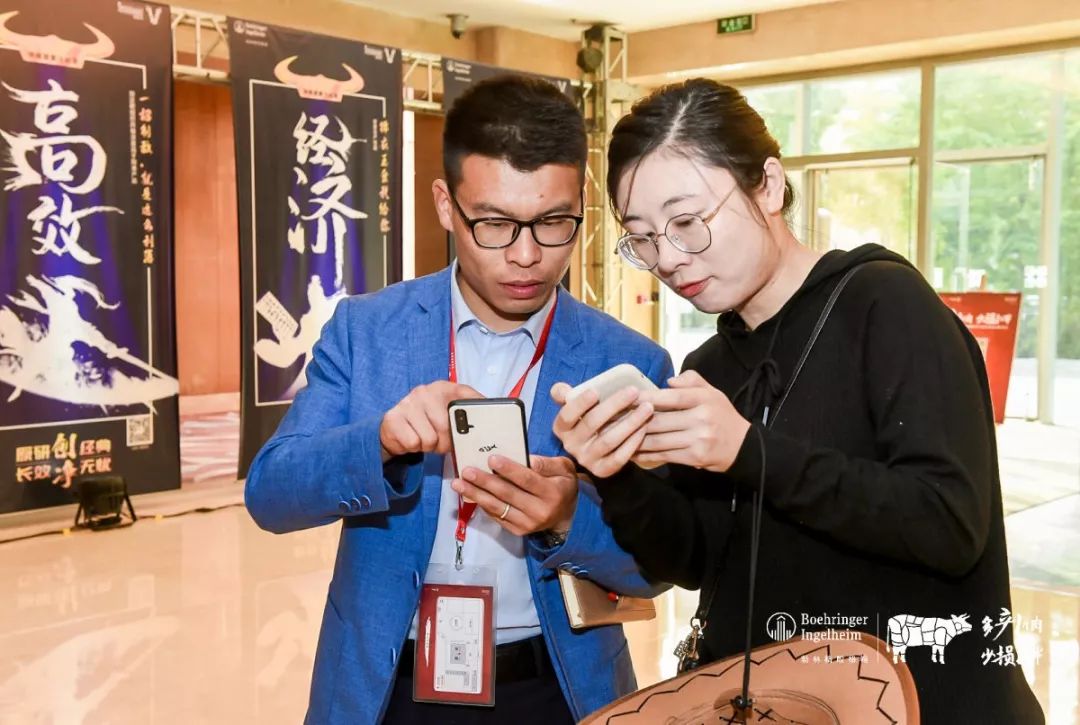 这一次，风口上站的是肉牛