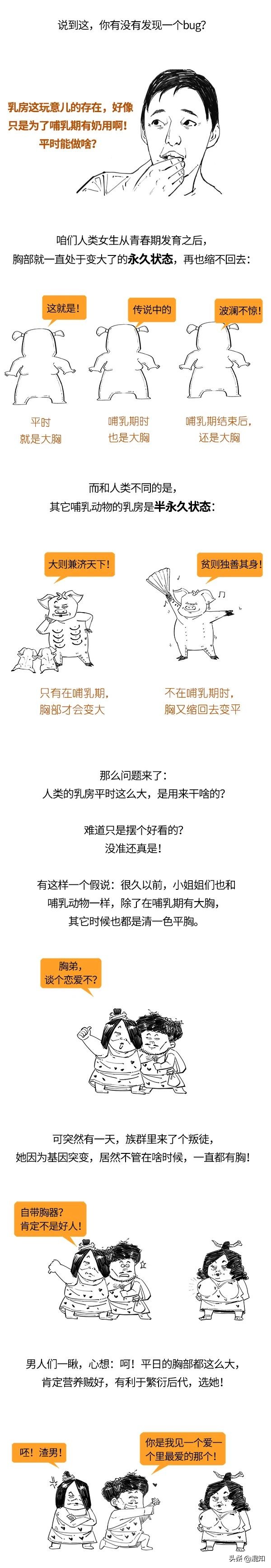 关于胸部发育的小知识,胸部发育知识解读