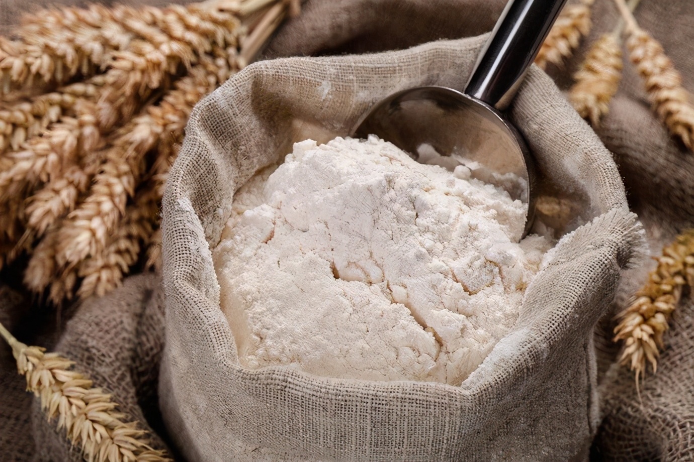 面包的高筋粉和一般的高筋粉,高筋粉面包和低筋粉的区别