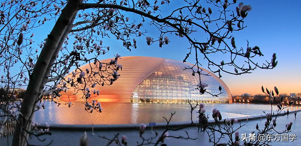 @所有人，周末一起赏玉兰，五处北京玉兰美景