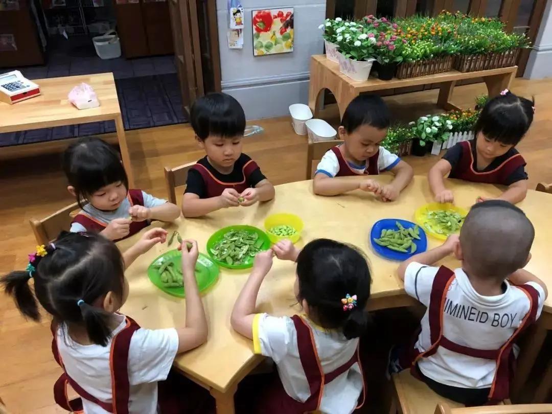 上海学前教育幼儿园,上海徐汇十大最好的幼儿园