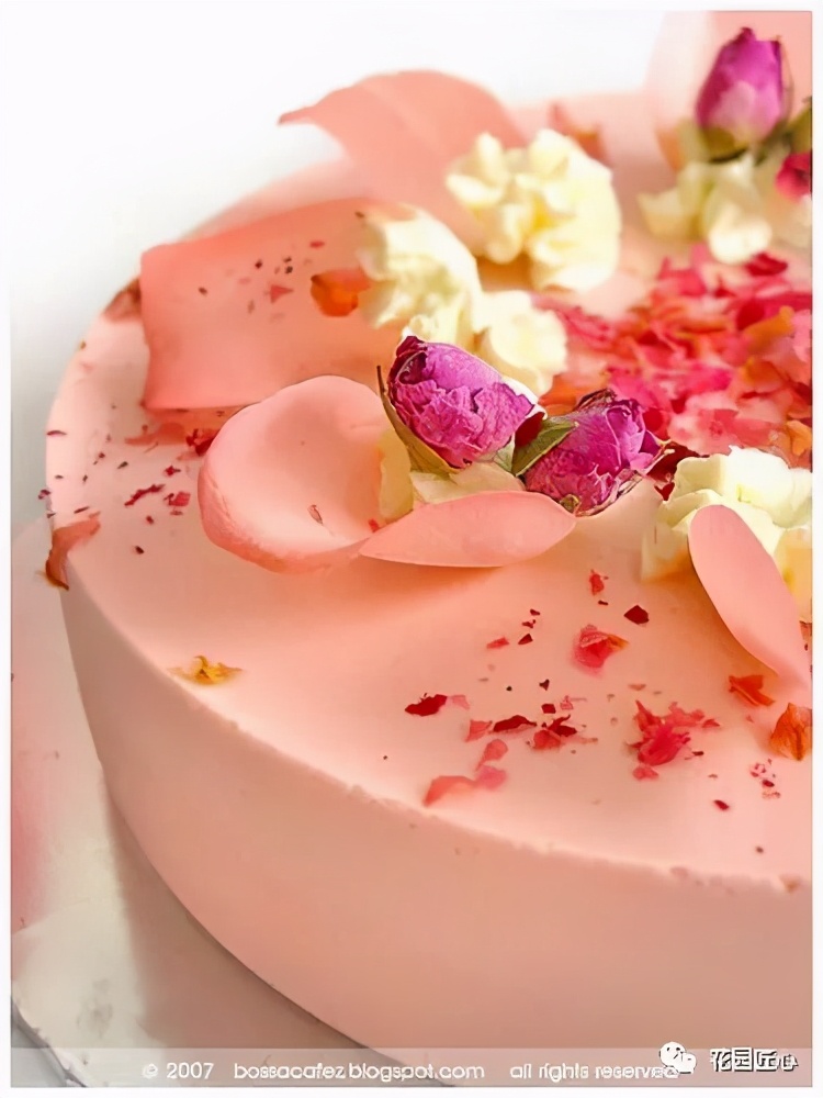 可以食用的花可制作的美食,100种可食用花的做法