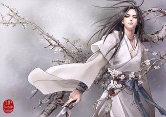 太白剑履山河,流星蝴蝶剑轻功乾坤刀