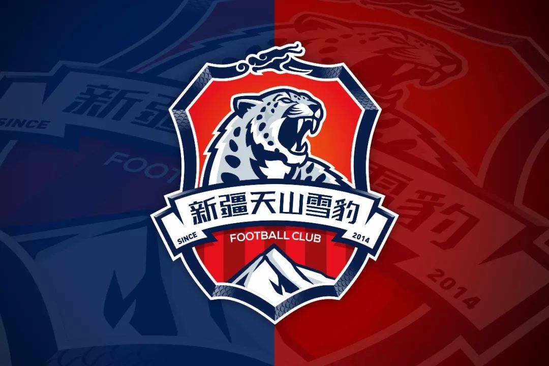 新疆天山雪豹队logo,天山雪豹足球俱乐部中甲
