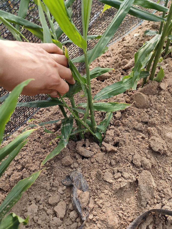 怎么才能做好农资店的生意,2022年农资店前景如何