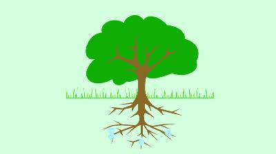 用纸做花放水里盛开的视频,用纸做花朵放水里盛开