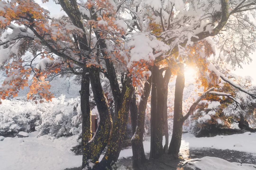 冰雪摄影心得,冰雪拍摄10个思路