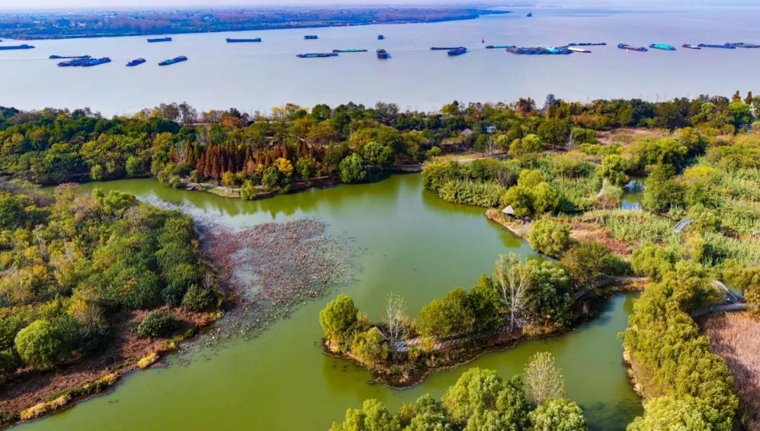 现在的半价优惠,免费半价会一起来吗