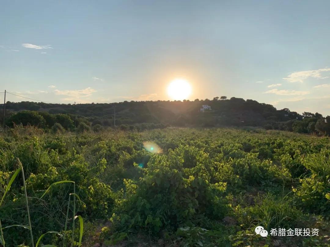 希腊农地价格,希腊土地多少钱一亩