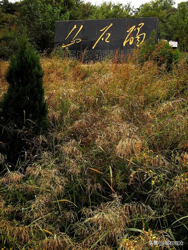 到底哪个才是真正的碣石山,碣石山简介