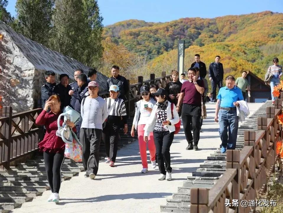 枫姿正好共赴一场云岭之约