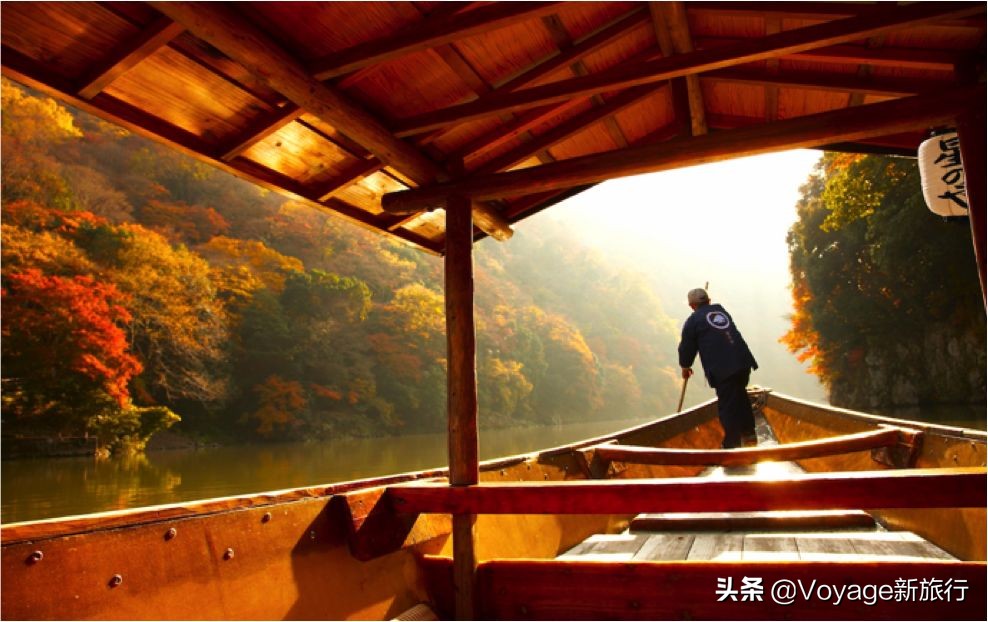 秋天来京都，体验「限定红」的“枫”情万种